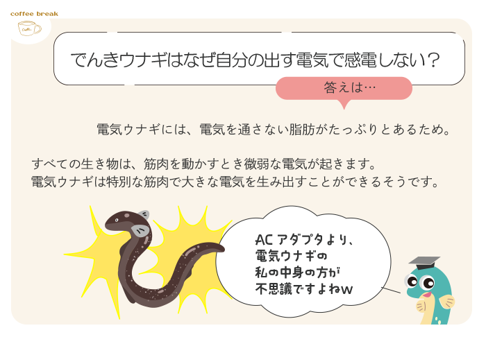 でんきウナギはなぜ自分の出す電気で感電しない？