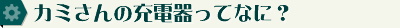カミさんの充電器ってなに？