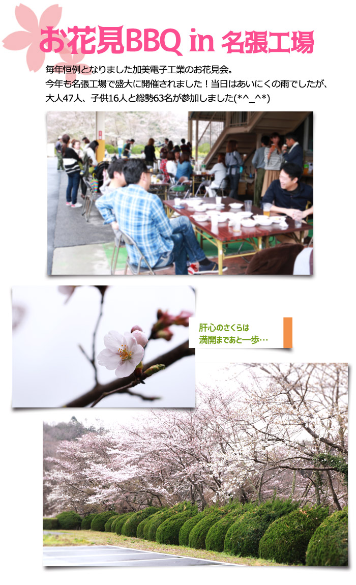 neta201704_ohanami1